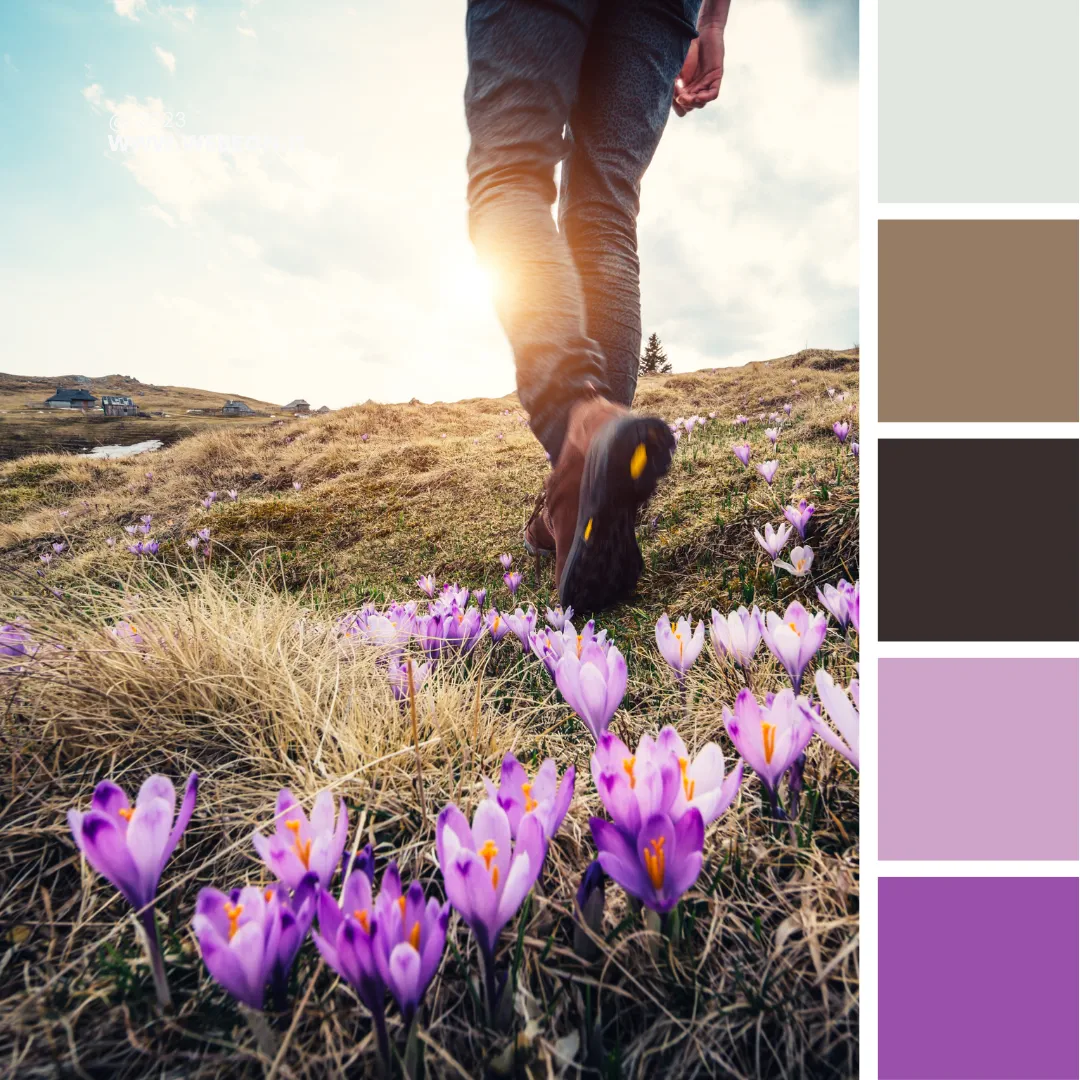8 splendide tavolozze di colori primaverili per i tuoi progetti grafici